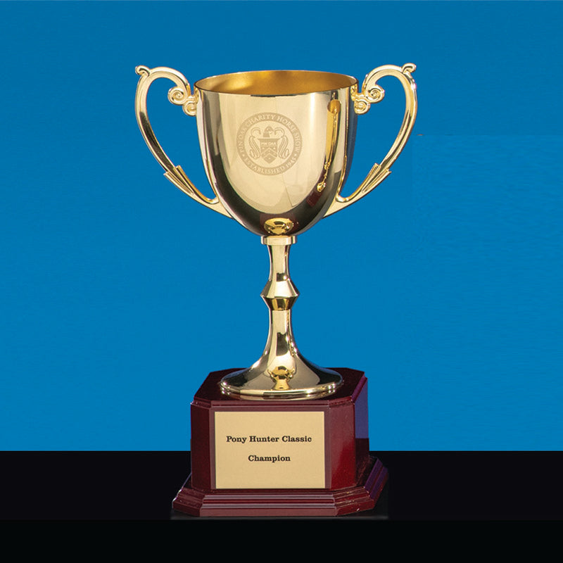 Gold Sheffield Cup on Base - Prize Possessions