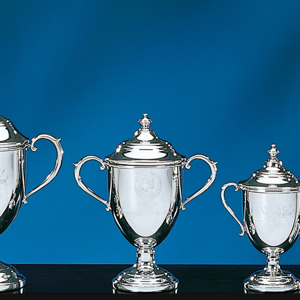 Sussex Trophy