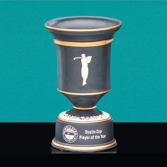 Ceramic Champion Award - Prize Possessions