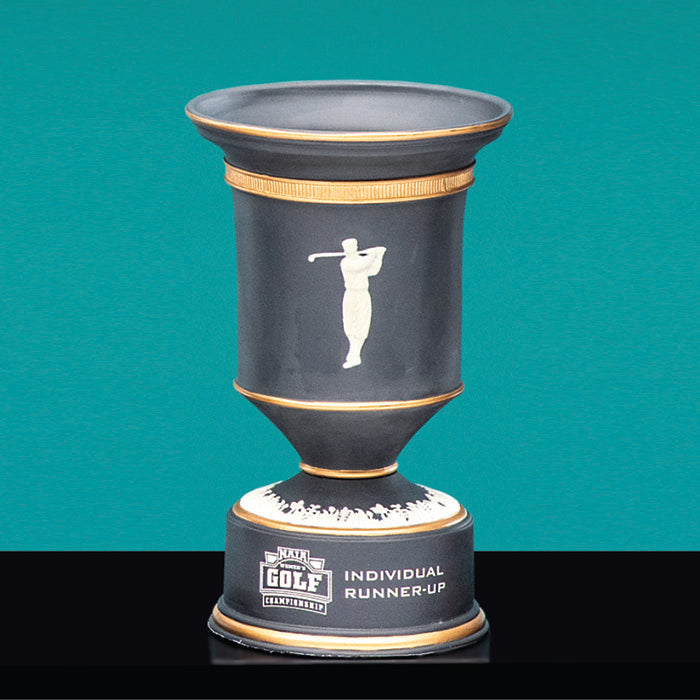 Ceramic Champion Award - Prize Possessions