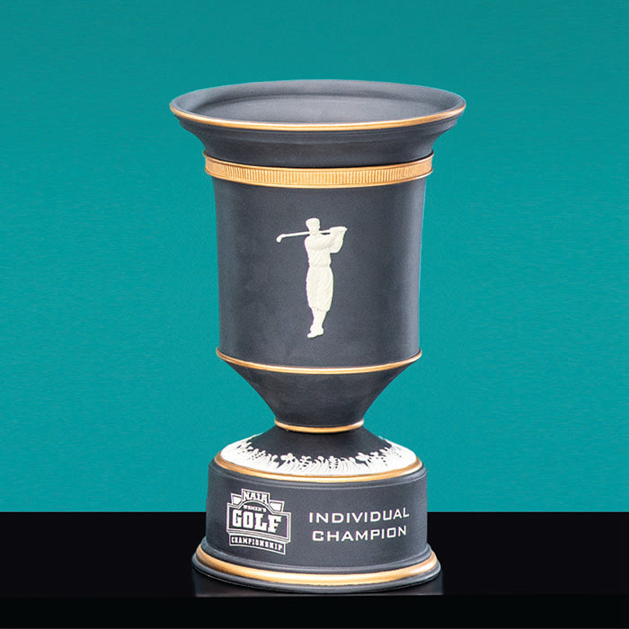 Ceramic Champion Award - Prize Possessions