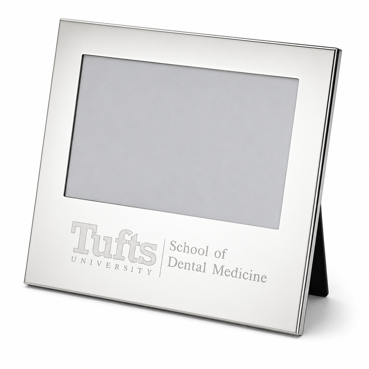 Silver Frame