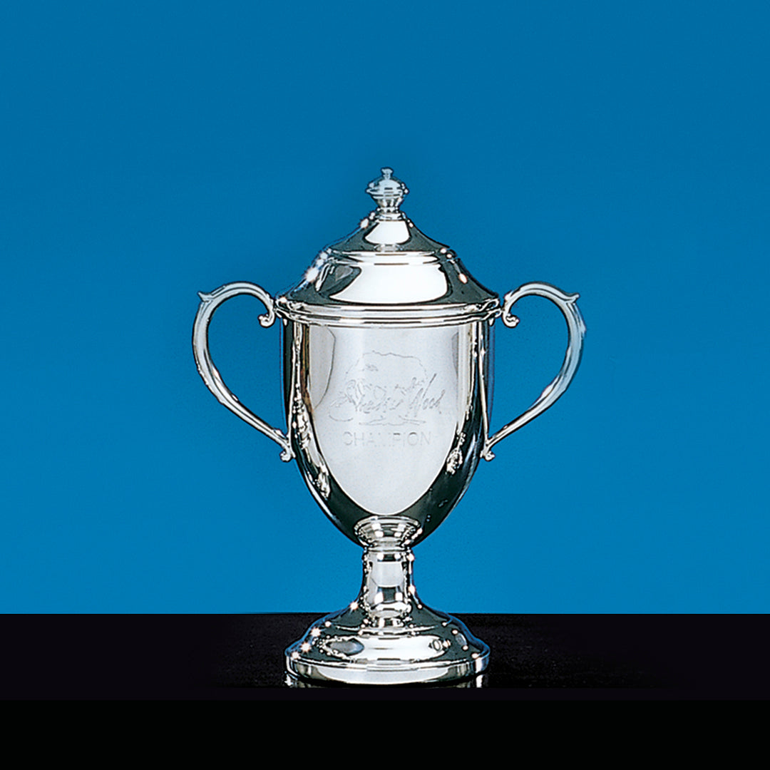 Pewter Sussex Trophy - Prize Possessions