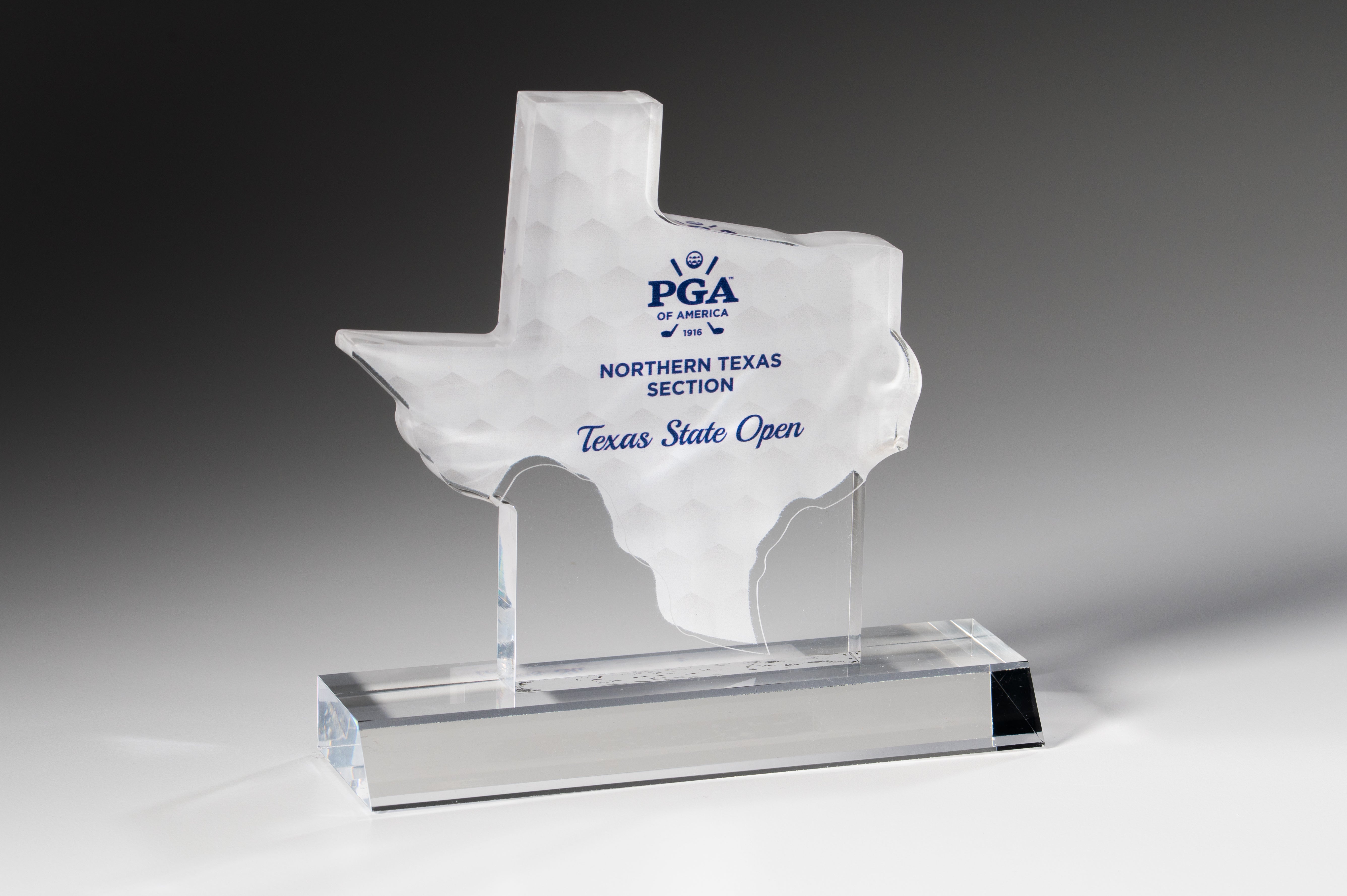 A glass award with a trophy icon and the words CUSTOM ETCHED GLASS BEST SELLERS etched on it, displayed on a wooden surface with a blurred indoor background.