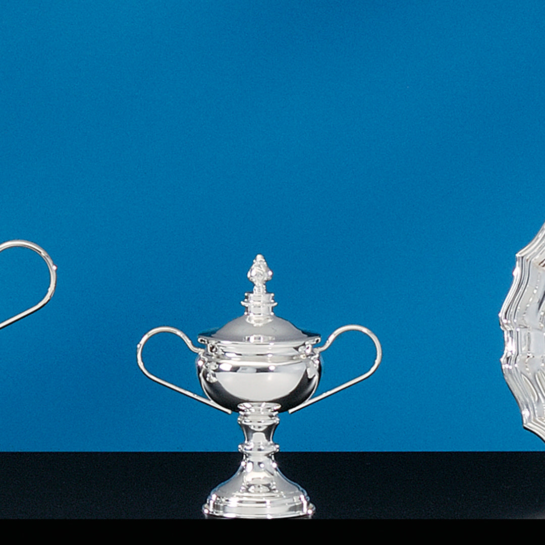 Silverplate Challenge Trophy - Prize Possessions  
