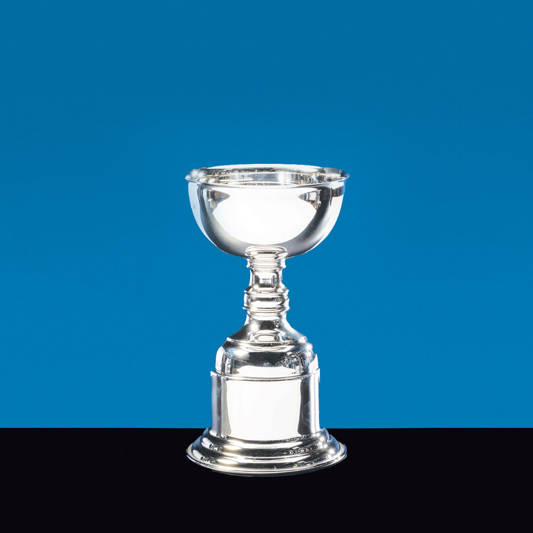 Silverplate Cup - Prize Possessions  