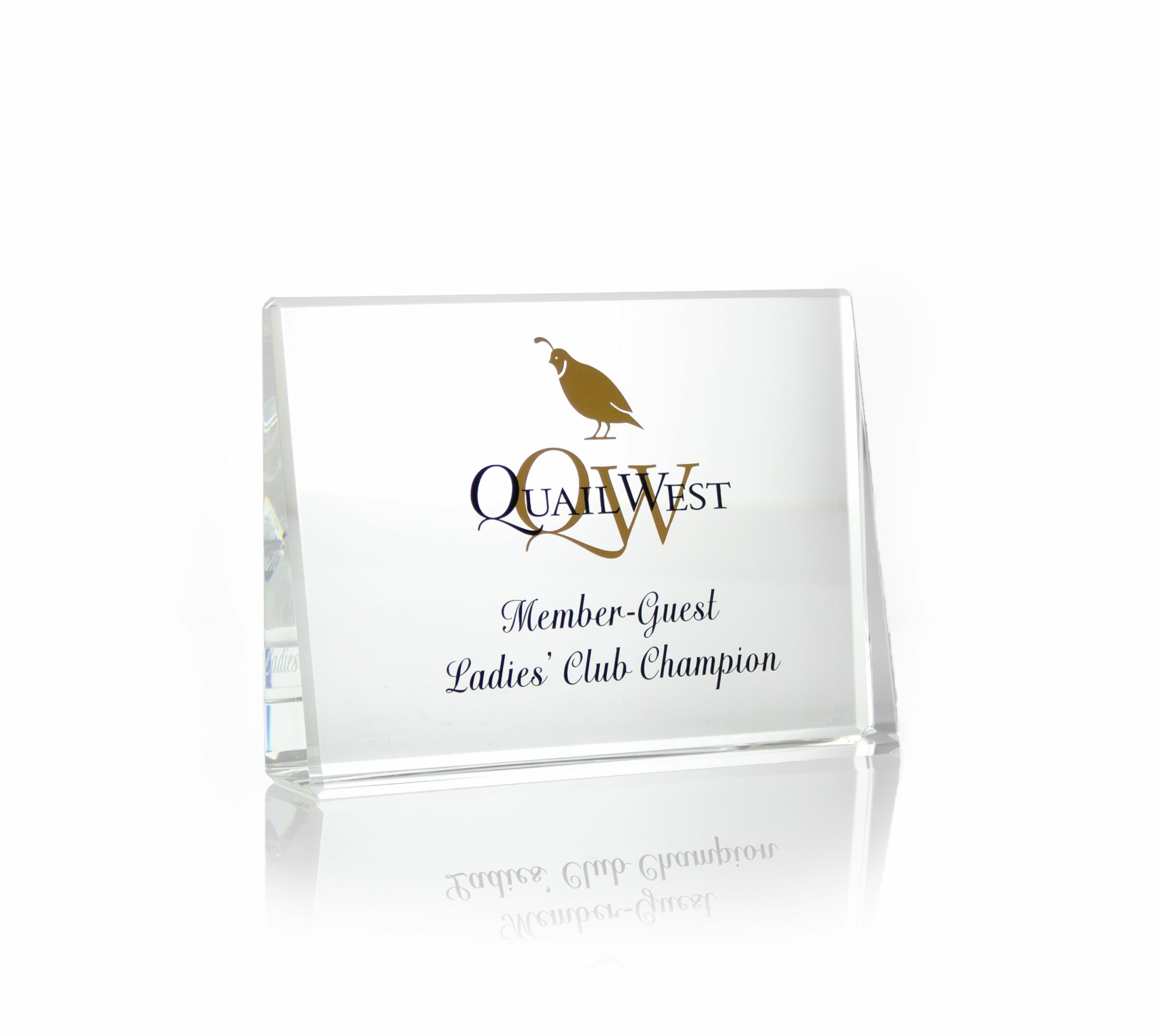 Crystal Horizontal Award - Prize Possessions  