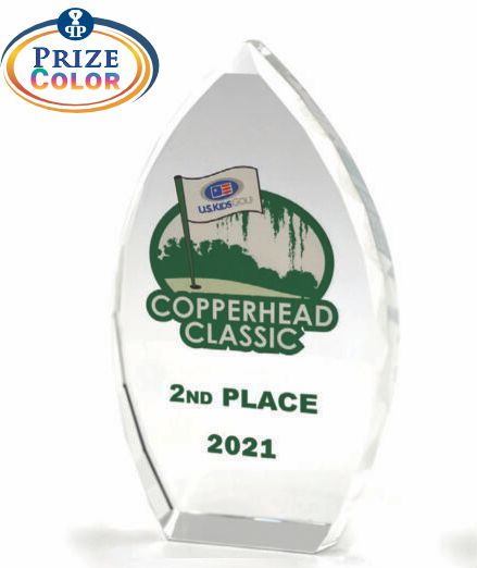 Optical Crystal Award - Prize Possessions  