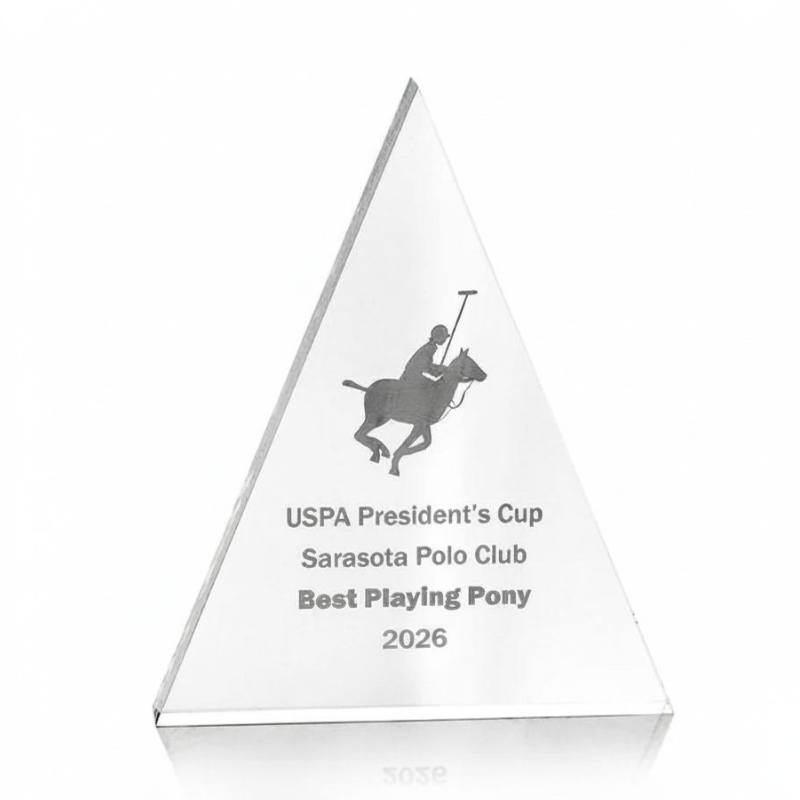 Acrylic Triangle Award