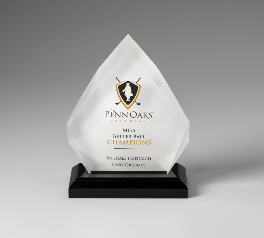 Acrylic Diamond Award - Prize Possessions  