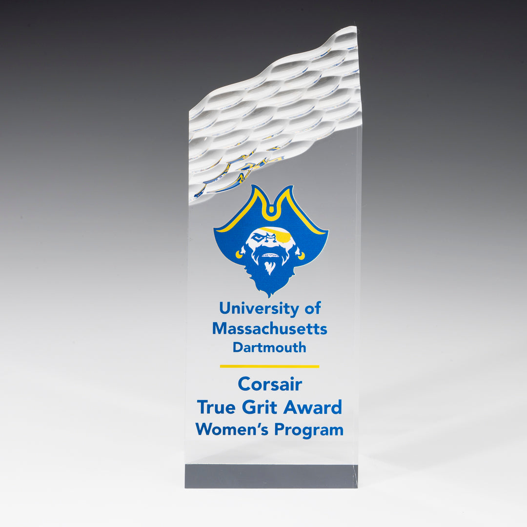 Acrylic Silver Riptide Award - Prize Possessions  
