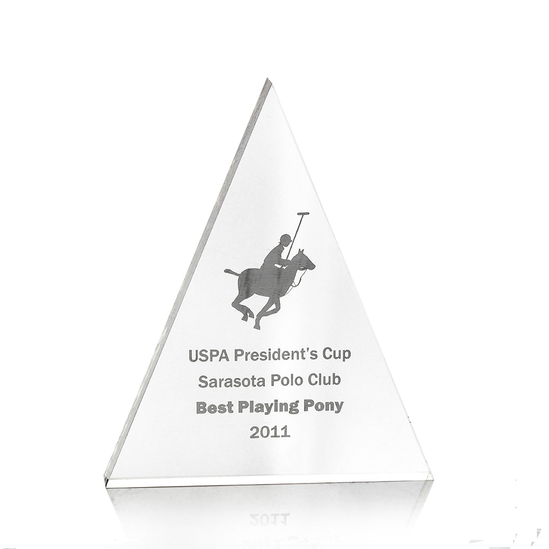 Acrylic Triangle Award - Prize Possessions  