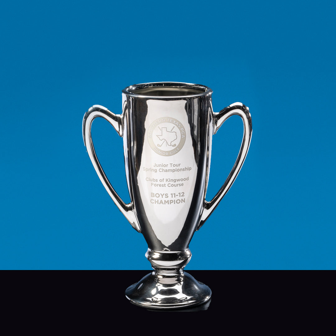 Silver Ceramic Cup - Prize Possessions  