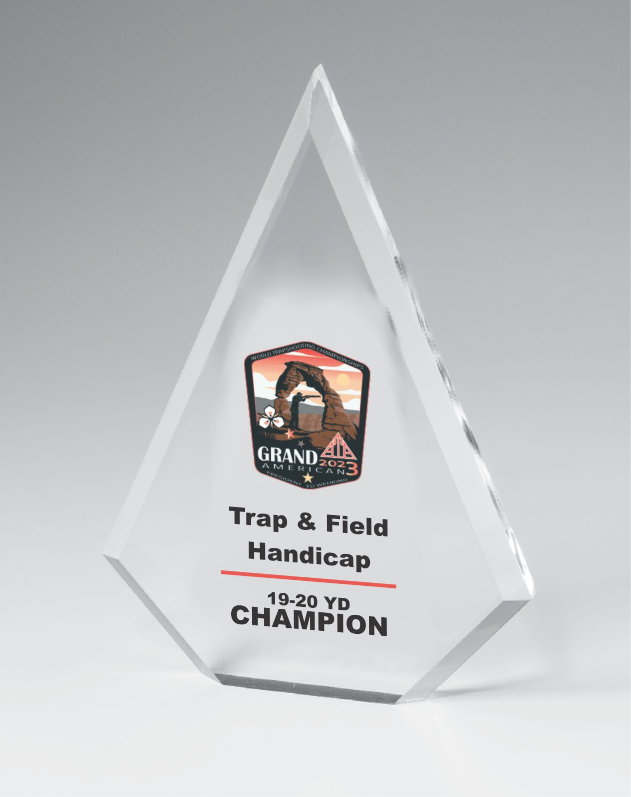 Acrylic Triangle Award - Prize Possessions  