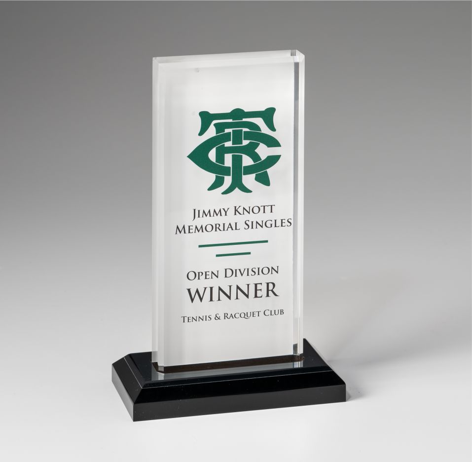 Acrylic Rectangular Award - Prize Possessions  