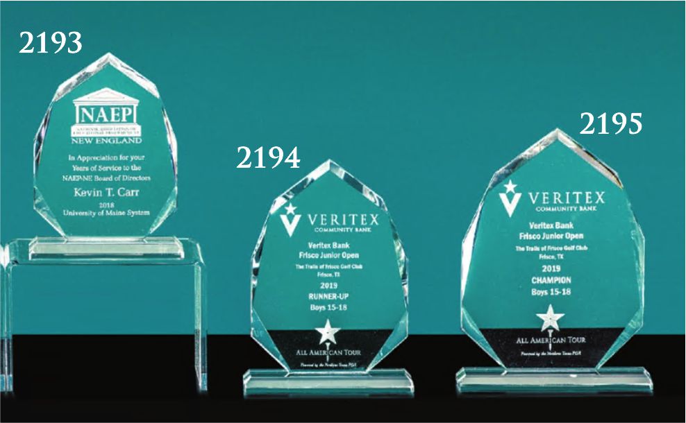 Crystal Arrowhead Award