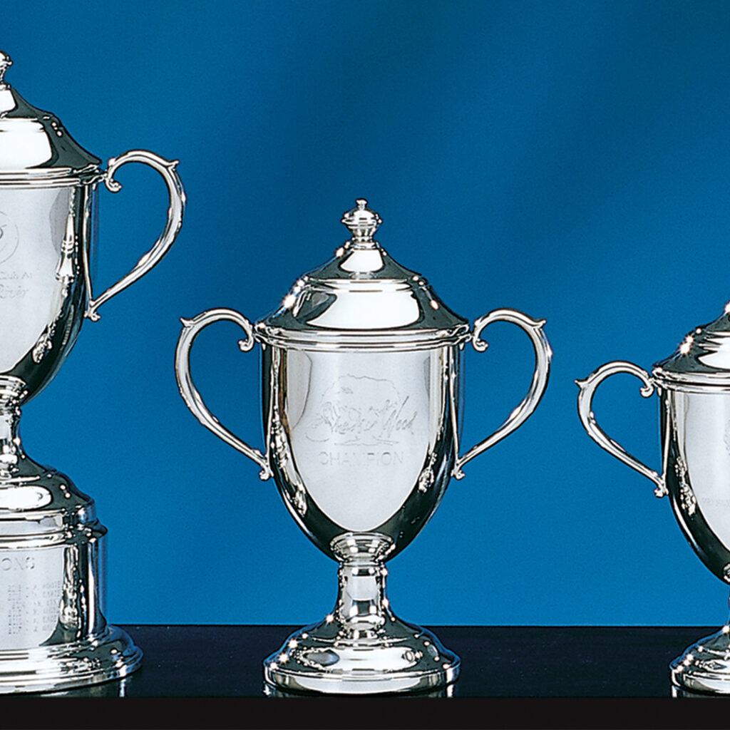 Three Prize Possessions Pewter Sussex Trophies with two handles each are displayed on a blue background, with the central trophy highlighted as a symbol of recognition and the others partially visible at the sides.