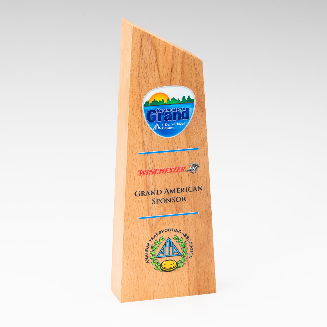 Wood Tower Award - Prize Possessions  